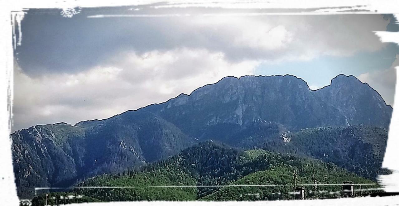 Pokoje W Centrum "Cicha" Zakopane Ngoại thất bức ảnh